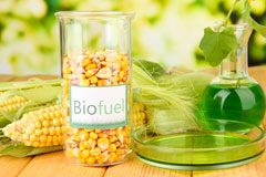 Burnden biofuel availability