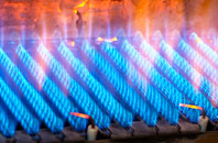 Burnden gas fired boilers